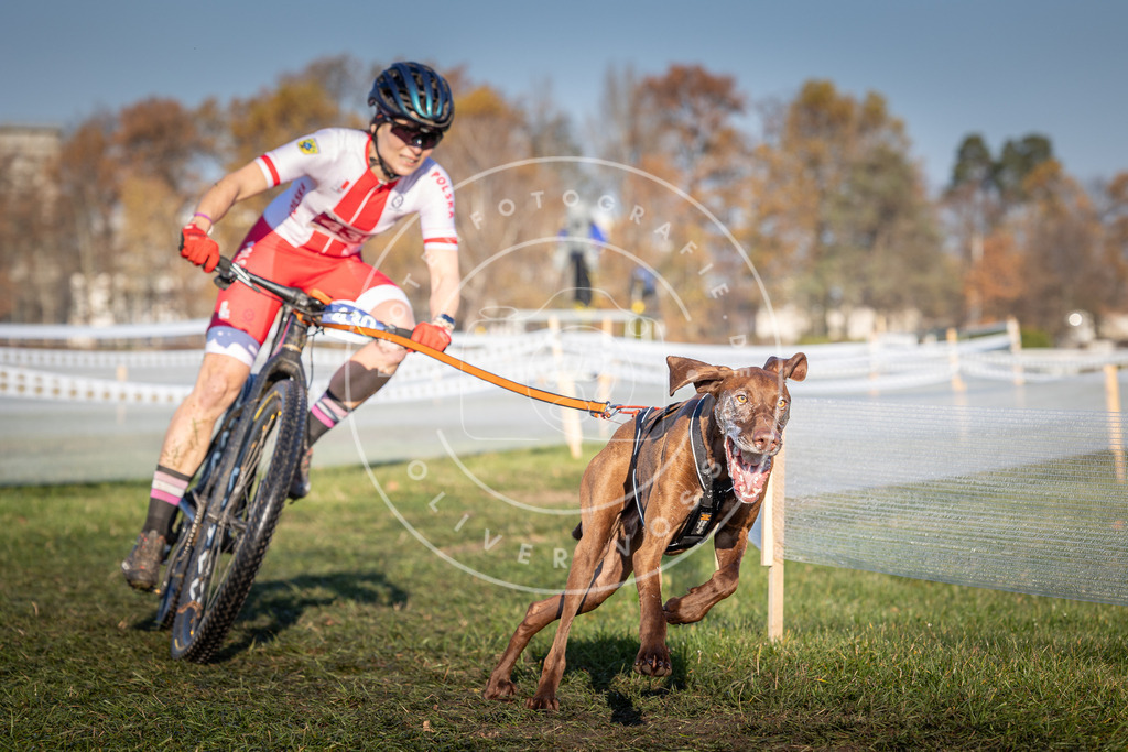 CaniXpix_0L8A4292 | Hundefotografie, Tierfotograf, Pfotenfotografie, Fotoshooting Hund, Hunde Portrait, Hundesport, Hundeportraits, Heideshooting, Hunde, Sportfotograf, Hundefotograf, Turnierhundsport, THS,  - Realisiert mit Pictrs.com