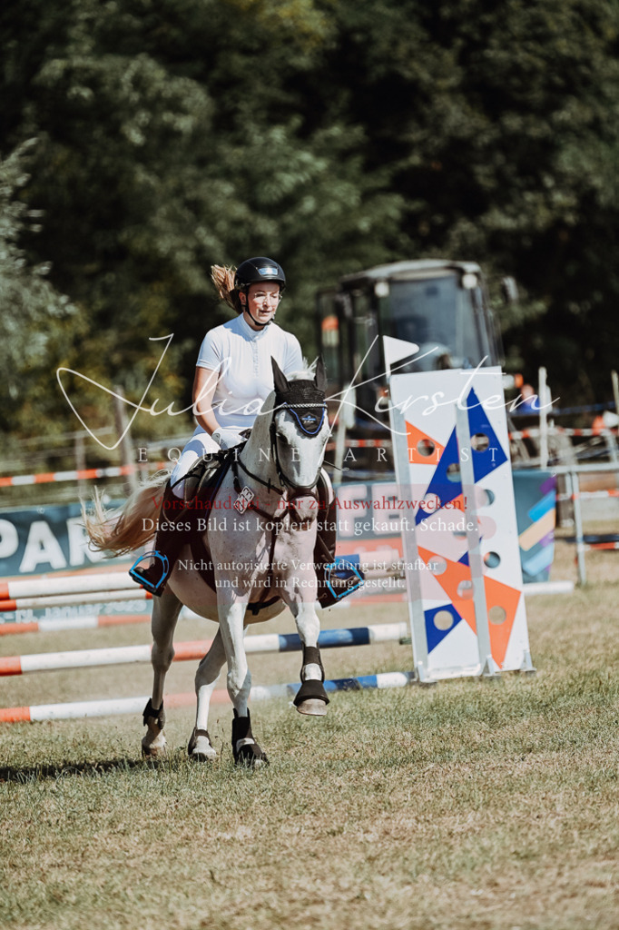 DSC_9606 | Pferde- und Turnierfotografie in Westsachsen. Pferdeportraits, Auftragszeichnungen und intuitive Kunst.