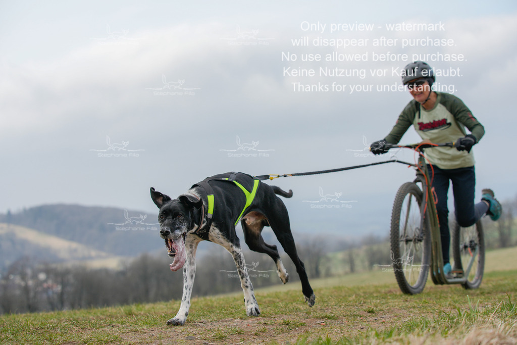 ScooterSA-221-6 | stephaniefillaphotographie - Realisiert mit Pictrs.com