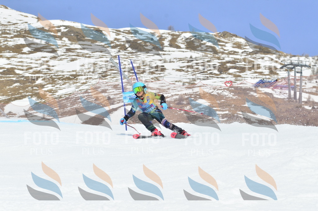 _ELE2863 | holidayphoto