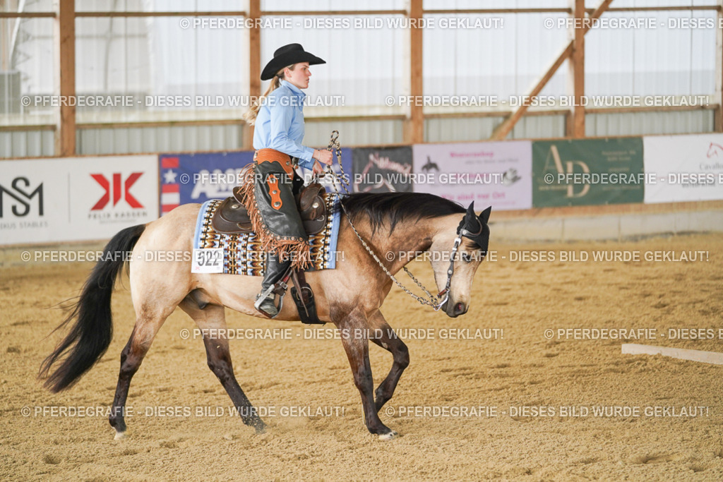 DSC03442 | Pferdegrafie