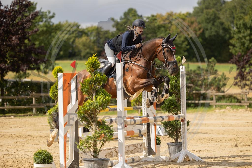 994A7831 | sabrinanicolaifotografie - Realisiert mit Pictrs.com