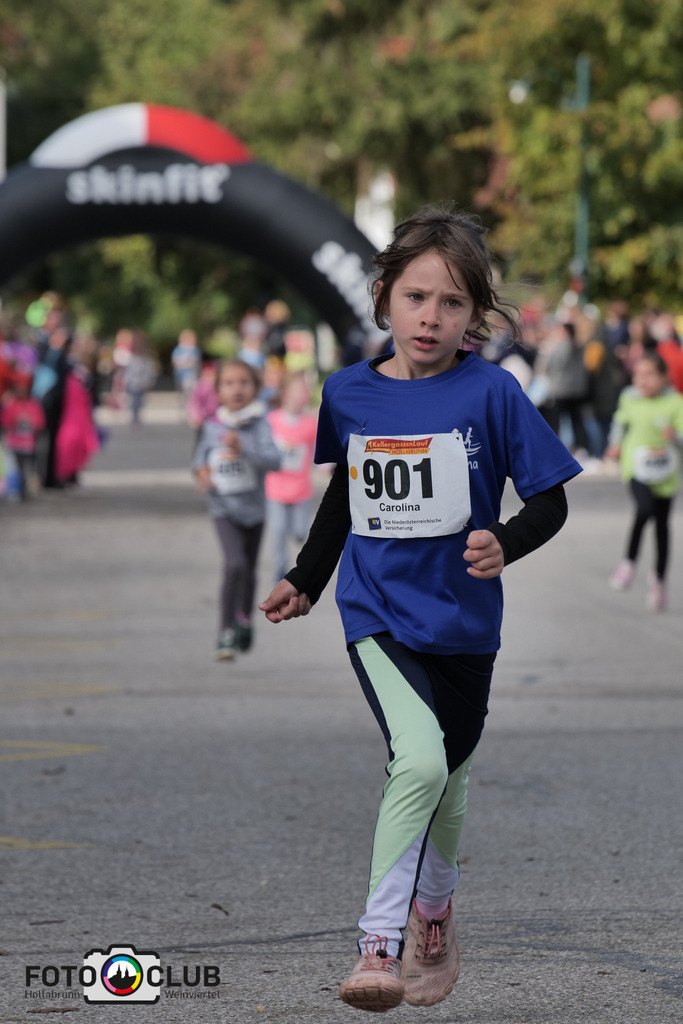 P1039064 | Foto Buchgraber