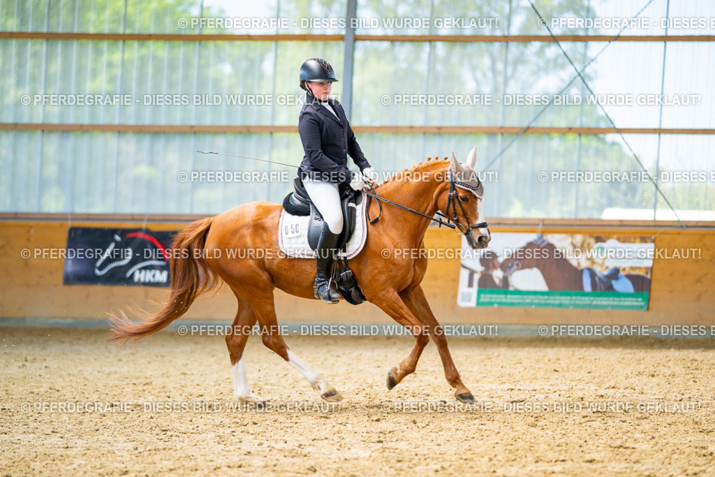 DSC08737 | Pferdegrafie