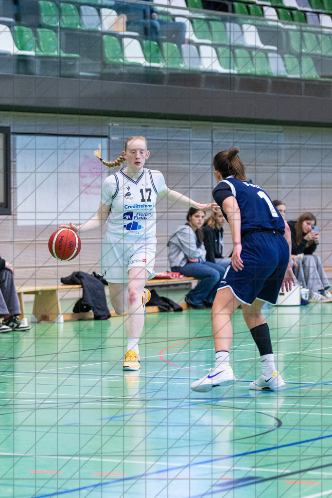 2. DBBL Nord 24/25 | 02.03.2025 | BBC OS vs. New Basket Oberhausen | 2. DBBL Nord 24/25 | 02.03.2025 | BBC OS vs. New Basket Oberhausen - - - - - CREDIT, www.bullenfotos.de, Martin König, Hörner Weg 40, D-49078 Osnabrück, +4917663732967, Nutzung und Weitergabe nur zu den vereinbarten Zwecken. Presseanfragen an Urheber. Alle Rechte beim Urheber. - - - - - - Realisiert mit Pictrs.com