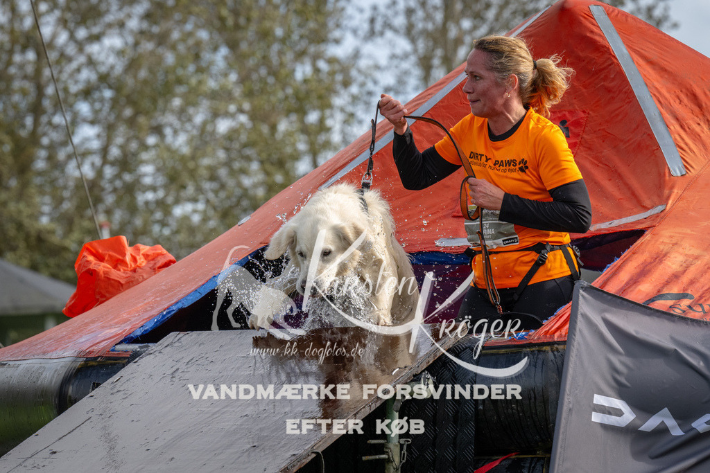 1211-92718 | kk-dogfotos