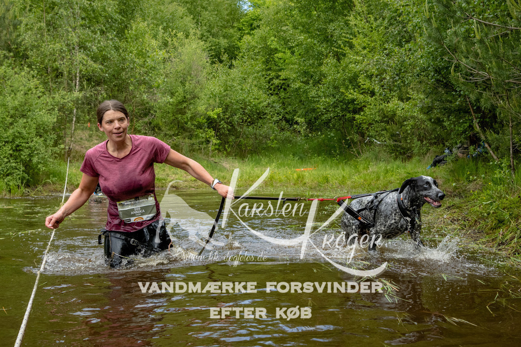 1104DKK994045 | kk-dogfotos