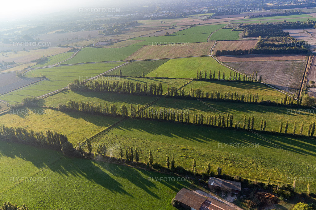 Aerial view: Wind-protected fields in Maillane in the state Bouches du Rhone, France. – Photo: IMG_129593.jpg taken on 09/23/2021 by Werner Riehm/FLY-FOTO.com – Resolution of the original: 4979 x 3319 px