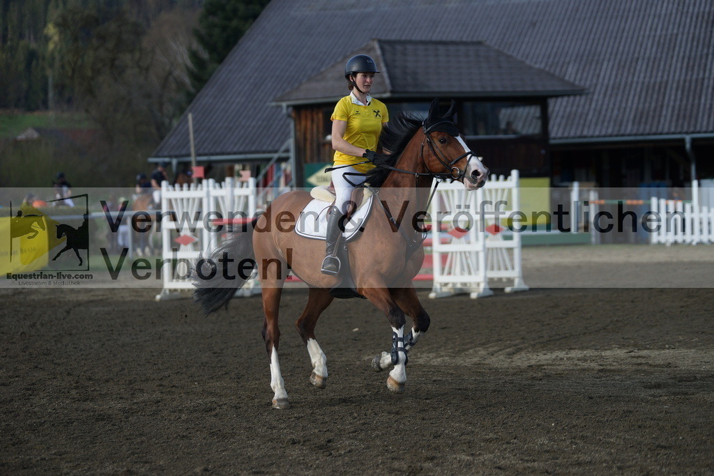 DSC03487 | equestrian-live-com