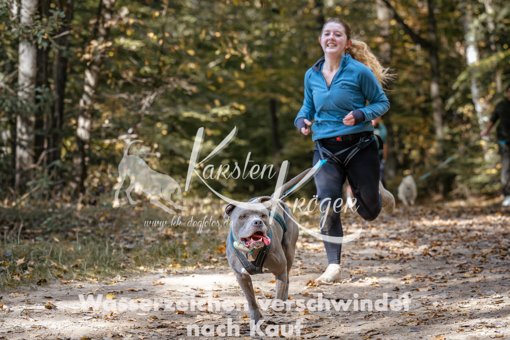 1247_ZZ96156 | kk-dogfotos