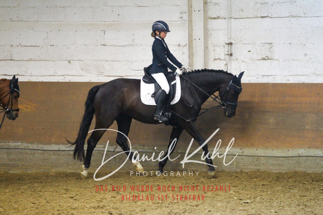 DKP44156 | Turniersportfotografie; Pferdefotografie; Dressurfotografie