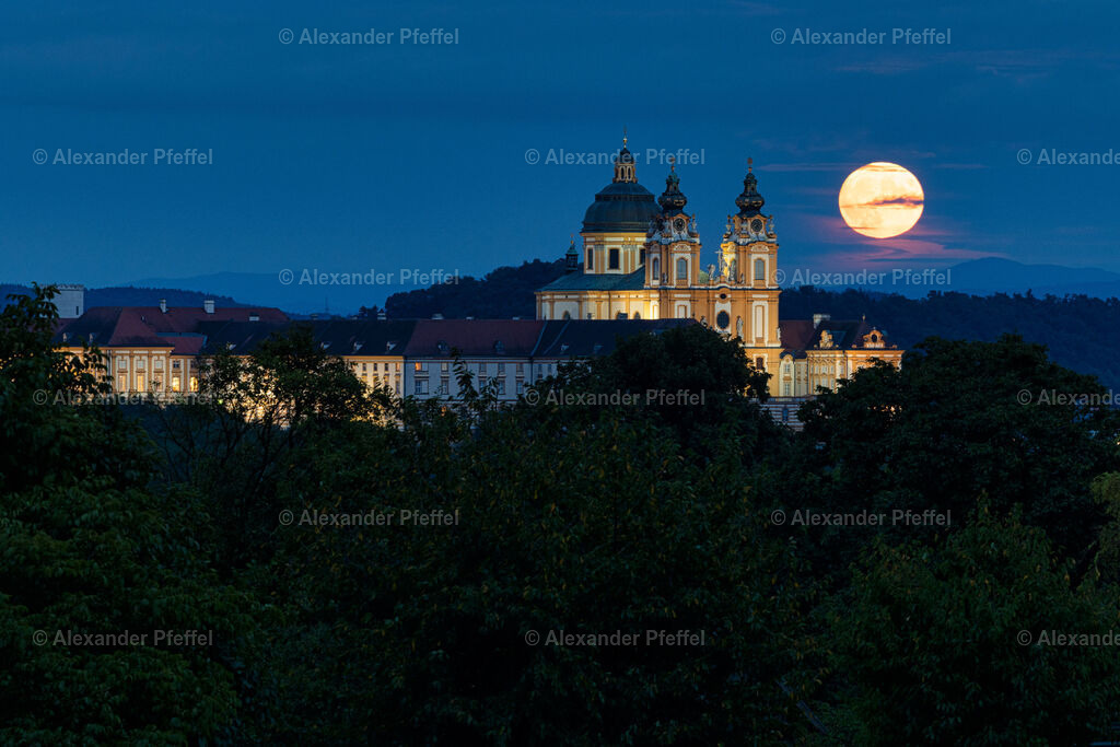 foto_c_pfeffel-partner-0004-R5_18468-Bearbeitet | alexander-pfeffel - Realisiert mit Pictrs.com