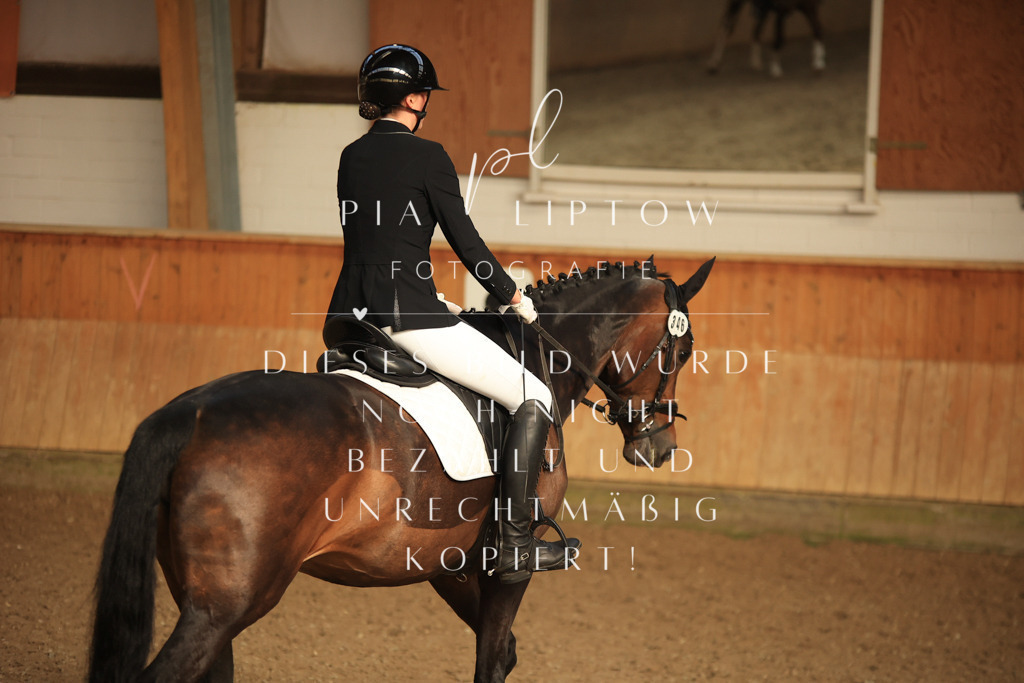 IMGT4319 | pl-fotografie