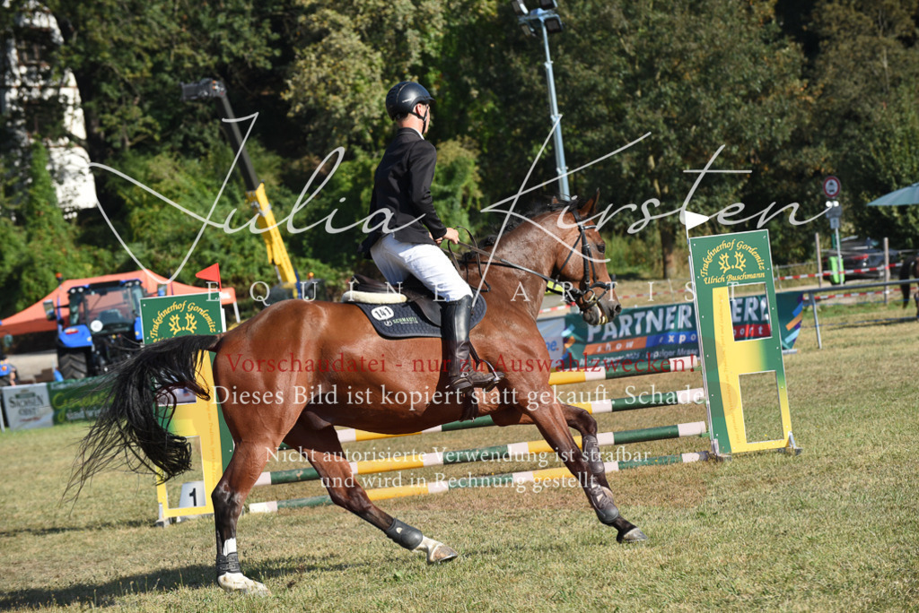 DSC_5356 | Pferde- und Turnierfotografie in Westsachsen. Pferdeportraits, Auftragszeichnungen und intuitive Kunst.