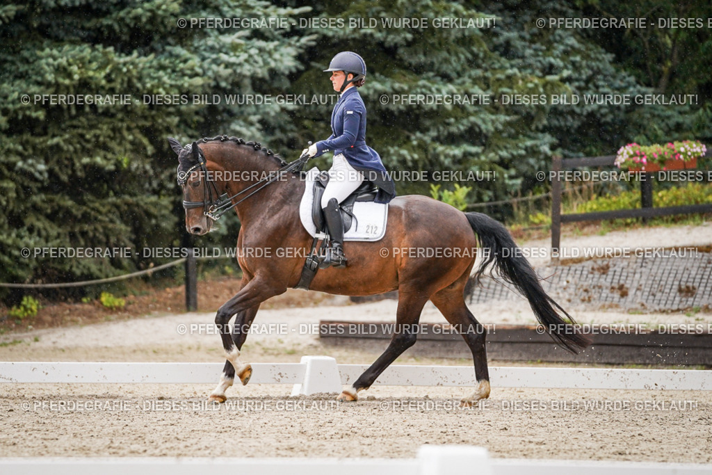 DSC07911 | Pferdegrafie