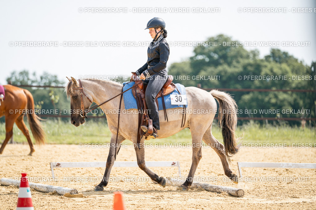 DSC09909 | Pferdegrafie