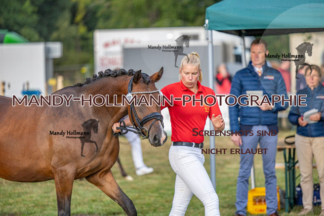 DR (45 von 2698) | mandyhollmannphotographie