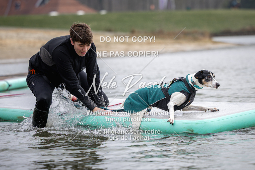 nelerasche_Hulsbeek_Sa1130-1230_671 | nelerasche