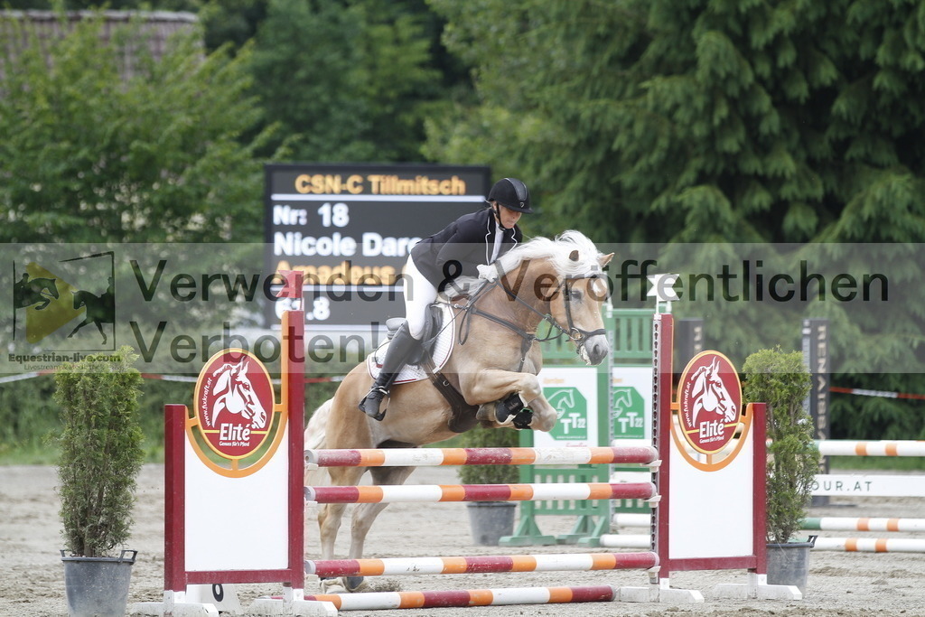 _MG_6516 | equestrian-live-com