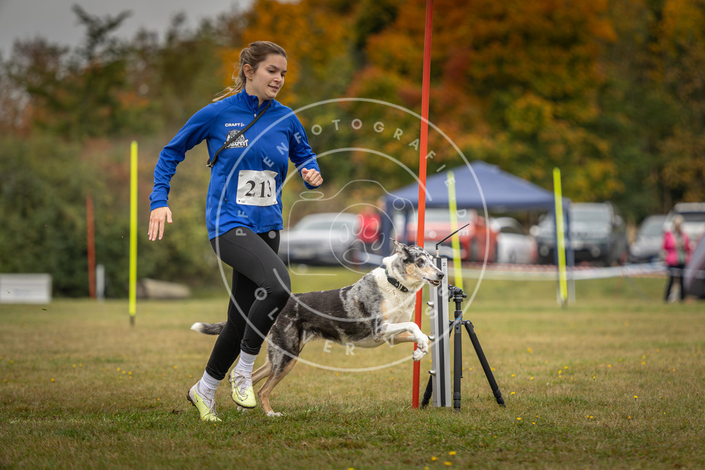 Pfotenfotografie_DV3A3411 | Hundefotografie, Tierfotograf, Pfotenfotografie, Fotoshooting Hund, Hunde Portrait, Hundesport, Hundeportraits, Heideshooting, Hunde, Sportfotograf, Hundefotograf, Turnierhundsport, THS,  - Realisiert mit Pictrs.com
