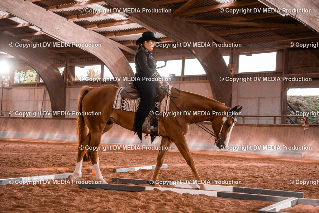 NE200154 | dv-media-shop - Realisiert mit Pictrs.com