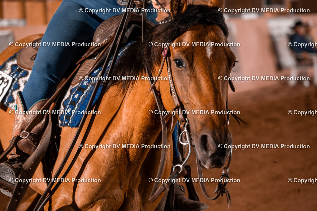 NE201448 | dv-media-shop - Realisiert mit Pictrs.com