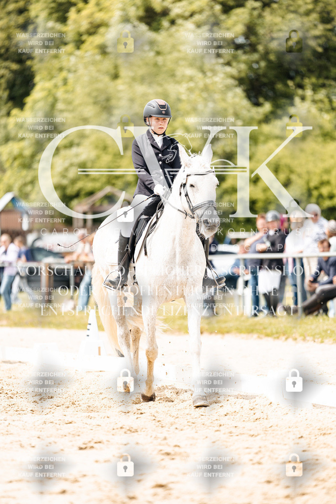 CK902605 | Turnierfotografie Pferdefotografie Trier Rheinland-Pfalz Pferdesport Reitsport Tierfotografie Sportfotografie Pferdevideo Pferdevideografie Equestrianvideography equestrianphotography  - Realisiert mit Pictrs.com