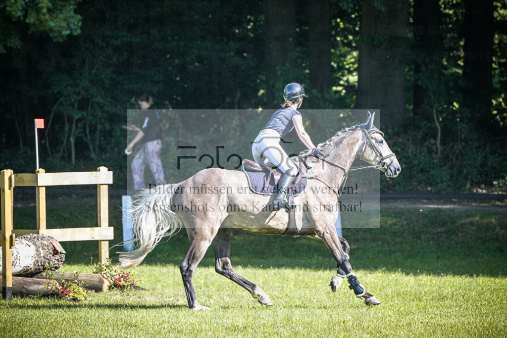 DOS_2148 | Entdecke hochwertige Reitturnierfotos von Foto Oger. Professionell, emotional und authentisch – jetzt Lieblingsmomente im Shop bestellen.Deutschlandweite Turnierfotografie. - Realized with Pictrs.com