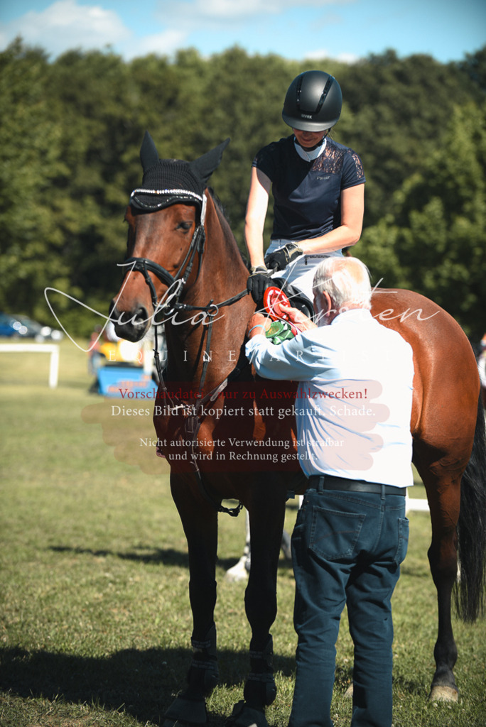 DSC_7324 | Pferde- und Turnierfotografie in Westsachsen. Pferdeportraits, Auftragszeichnungen und intuitive Kunst.