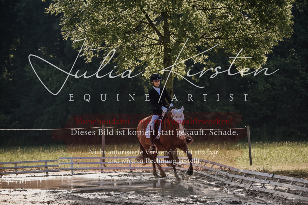 DSC_7858 | Pferde- und Turnierfotografie in Westsachsen. Pferdeportraits, Auftragszeichnungen und intuitive Kunst.