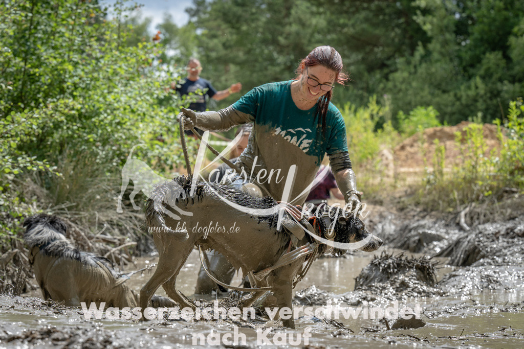 1436_ZZ93246 | kk-dogfotos