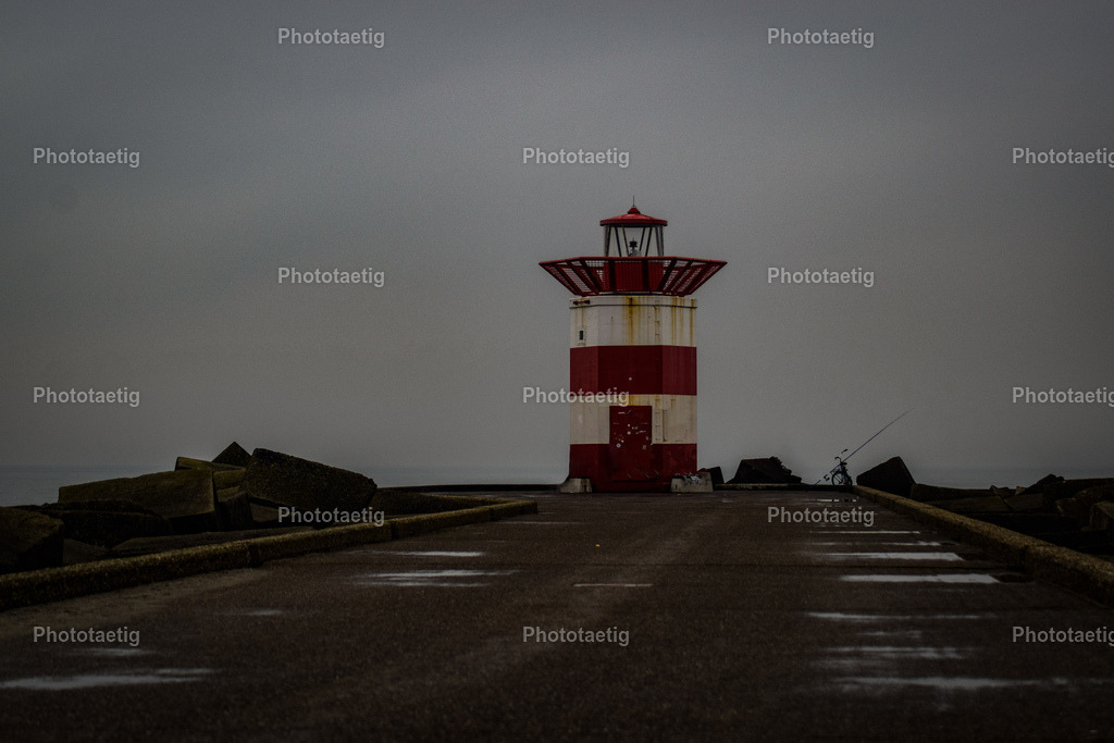 IMG_8806 | phototaetig