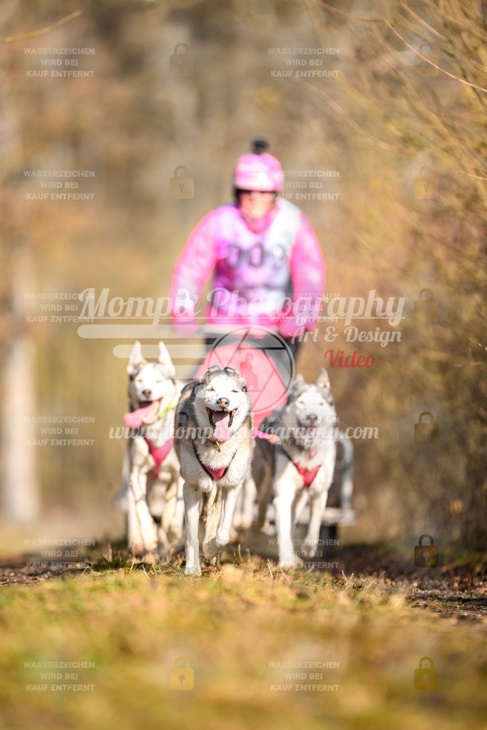 MompixPhotography_Schwabentrail2025_SO_Kart-13 | PayLife
