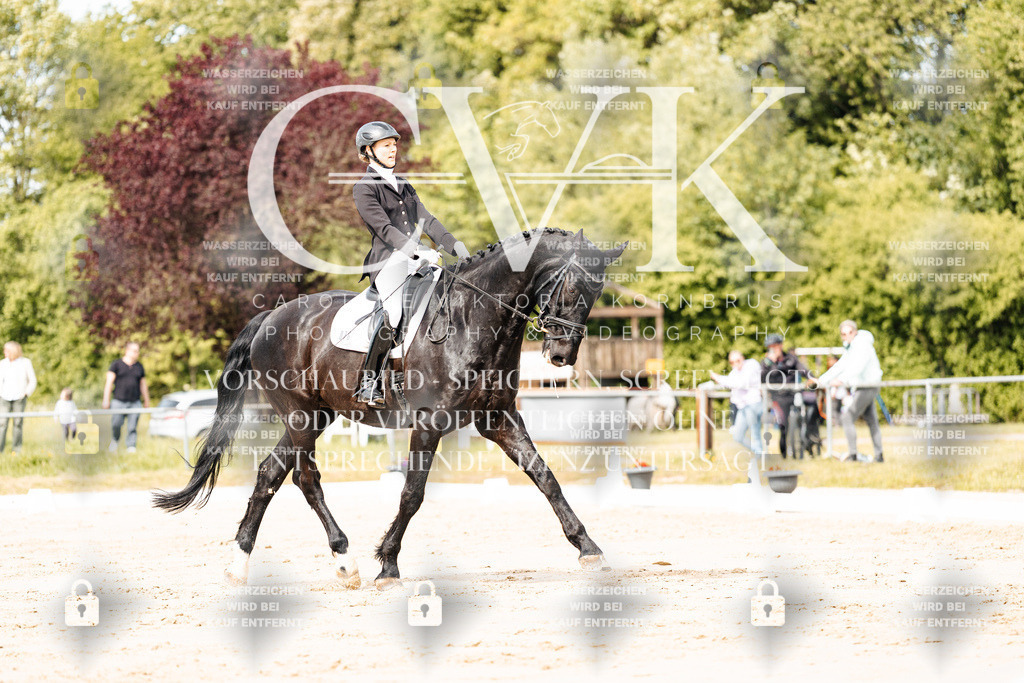 CK901029 | Turnierfotografie Pferdefotografie Trier Rheinland-Pfalz Pferdesport Reitsport Tierfotografie Sportfotografie Pferdevideo Pferdevideografie Equestrianvideography equestrianphotography  - Realisiert mit Pictrs.com