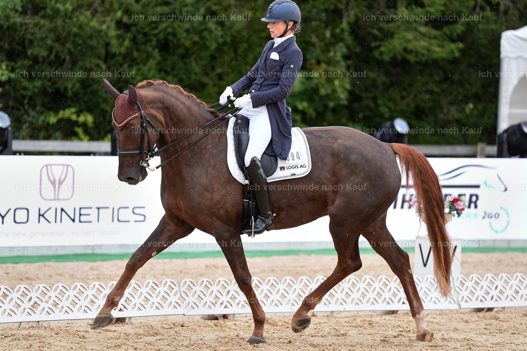 8_1-094-Klasse S_  -StoibPH-3852 | working equitationturnier fotograf videograf stoibphotography marixx film working equitation deutschland reitsport turnierfotografie eventfotografie equestrian events