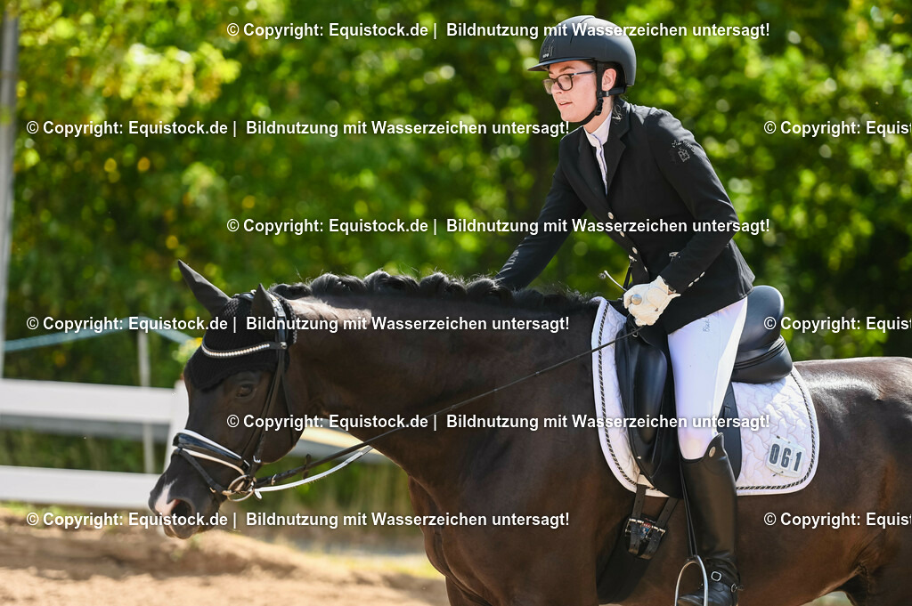 20230715_07_Dressurpferdeprfg. Kl.L_0191 | equistock