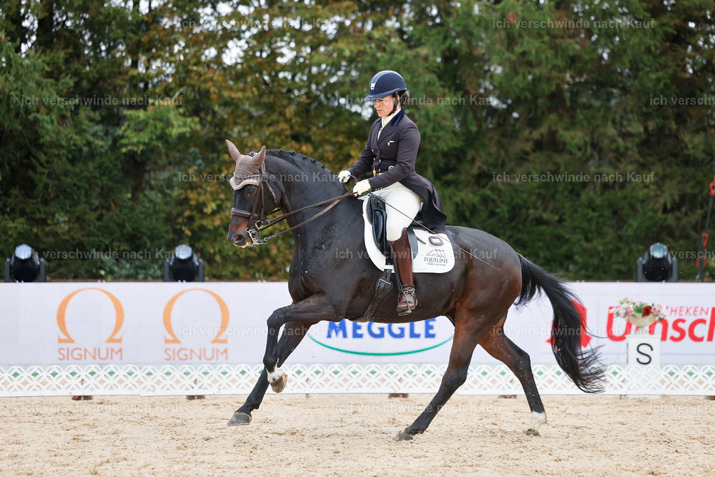 07-191-DRESSUR  S___  -StoibPH-4994 | working equitationturnier fotograf videograf stoibphotography marixx film working equitation deutschland reitsport turnierfotografie eventfotografie equestrian events