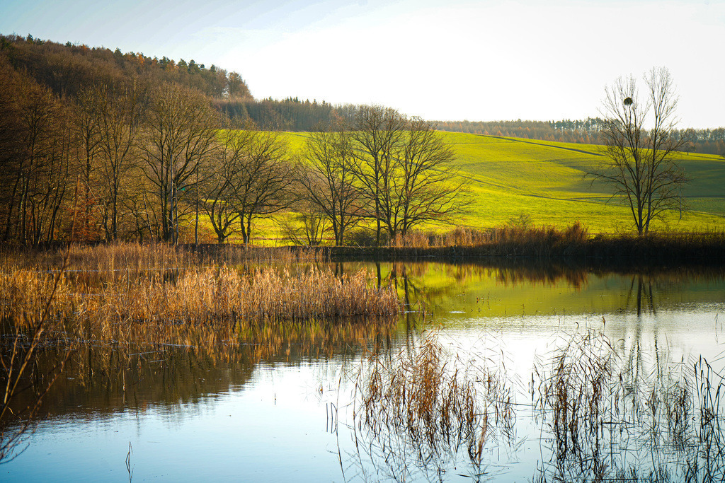 Ein glücklicher kleiner Teich - Lißberg | Wenn die Tage kürzer werden und die Menschen das Haus nur im Zwiebelkostüm verlassen, füllt sich bei Lißberg das Winterreservoir. Die resultierende Wasserlandschaft wirkt wie ein Bob Ross und man fast kann man die Stimme des bekannten Fernsehmalers hören: Ein glücklicher kleiner Teich mit glücklichen kleinen Bäumen. - Realisiert mit Pictrs.com