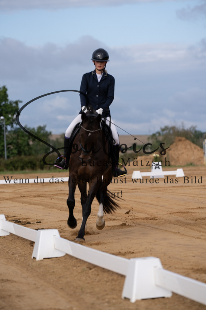 A7V05079 | Pferdefotograf