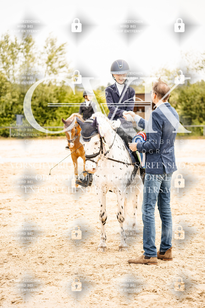 CK703659 | Turnierfotografie Pferdefotografie Trier Rheinland-Pfalz Pferdesport Reitsport Tierfotografie Sportfotografie Pferdevideo Pferdevideografie Equestrianvideography equestrianphotography  - Realisiert mit Pictrs.com