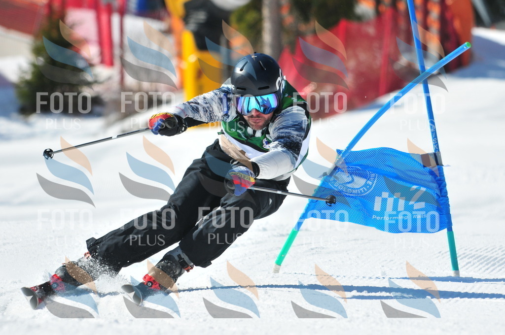 C3356 | holidayphoto