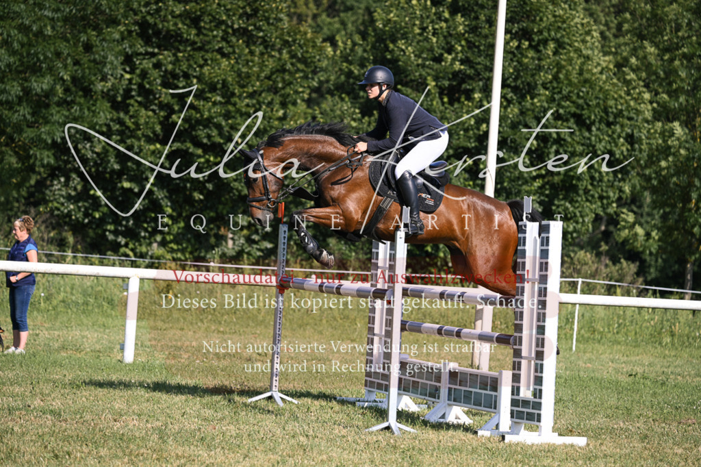 DSC_1459 | Pferde- und Turnierfotografie in Westsachsen. Pferdeportraits, Auftragszeichnungen und intuitive Kunst.