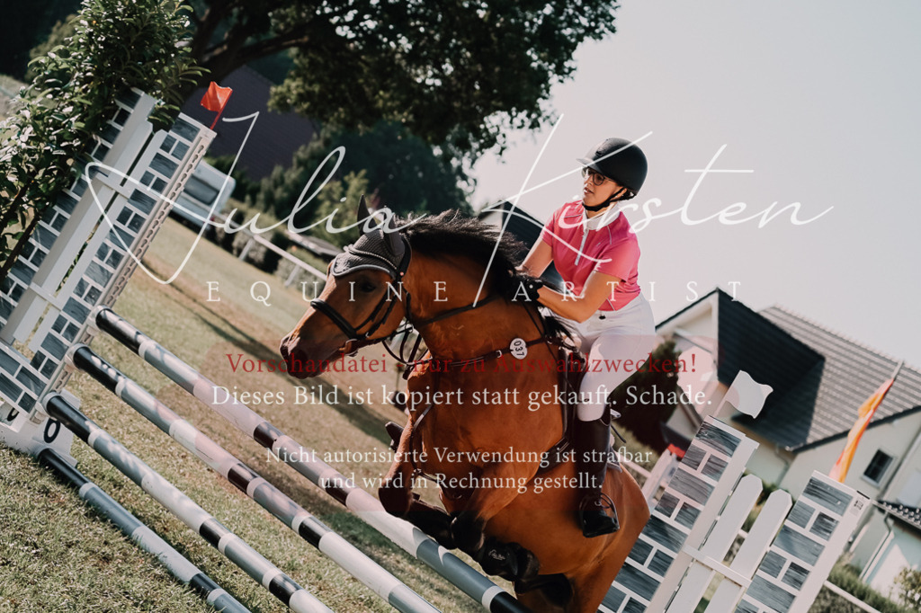 DSC_4582 | Pferde- und Turnierfotografie in Westsachsen. Pferdeportraits, Auftragszeichnungen und intuitive Kunst.