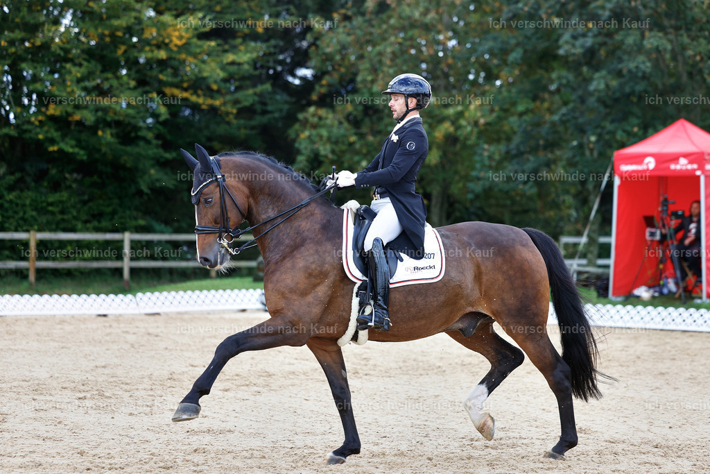 10-207-ST.GEORG SPECIAL -StoibPH-3263 | working equitationturnier fotograf videograf stoibphotography marixx film working equitation deutschland reitsport turnierfotografie eventfotografie equestrian events