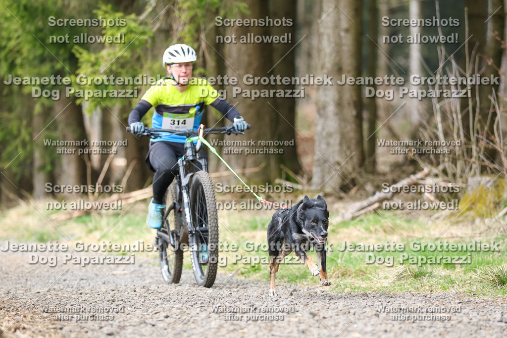 Dog Paparazzi - VCC26-600 | Dog Paparazzi Jeanette Grottendiek Fotografie & Videografie - Realisiert mit Pictrs.com