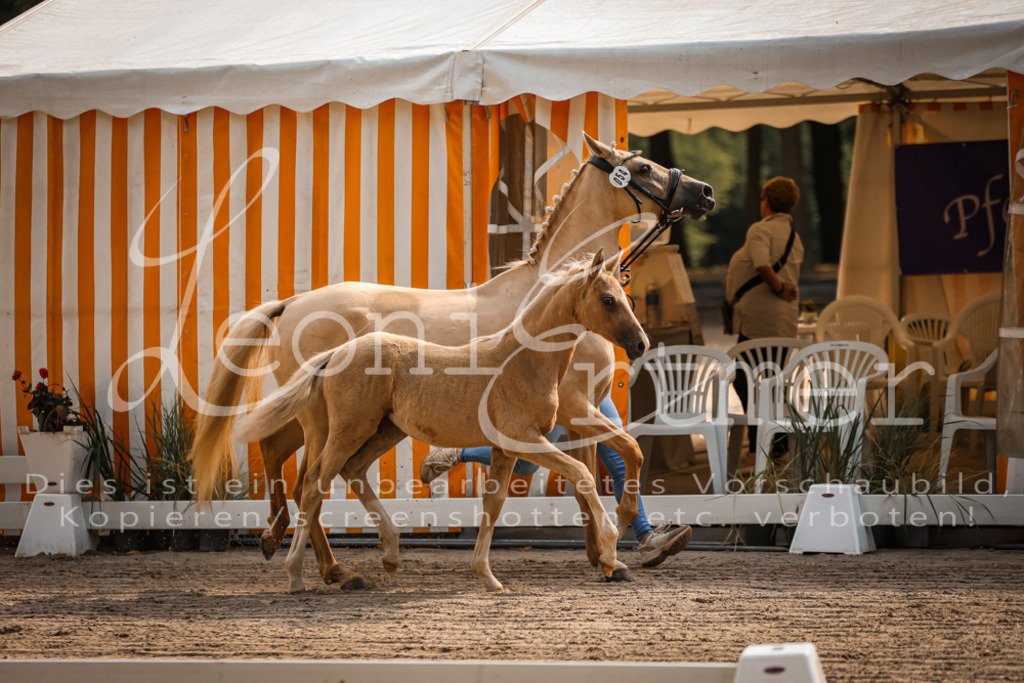 10.DoRP00021 | Leoni Ertmer Photography - Realisiert mit Pictrs.com