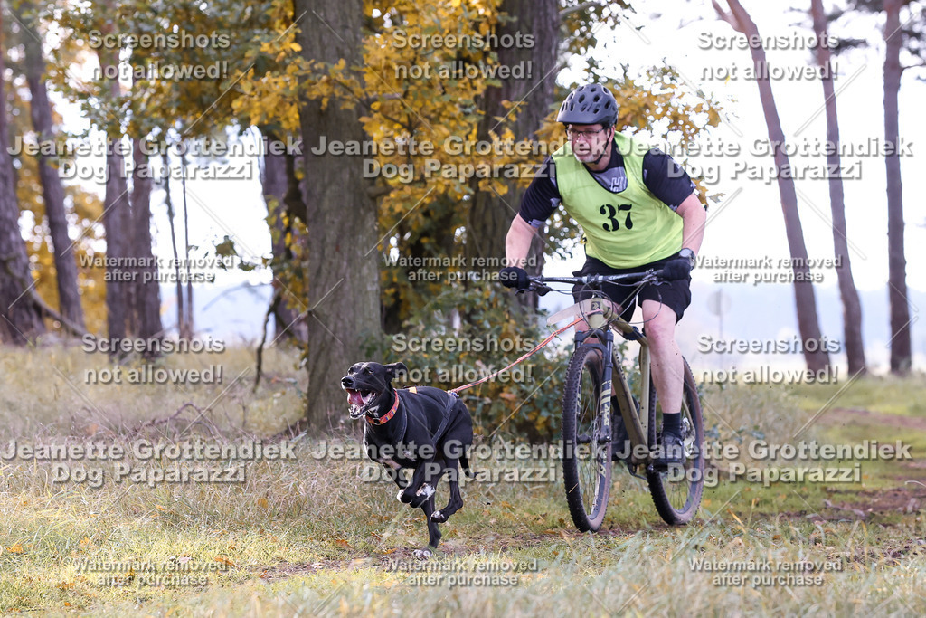 Dog Paparazzi - Elsholz 25 -143 | Dog Paparazzi Jeanette Grottendiek Fotografie & Videografie - Realisiert mit Pictrs.com