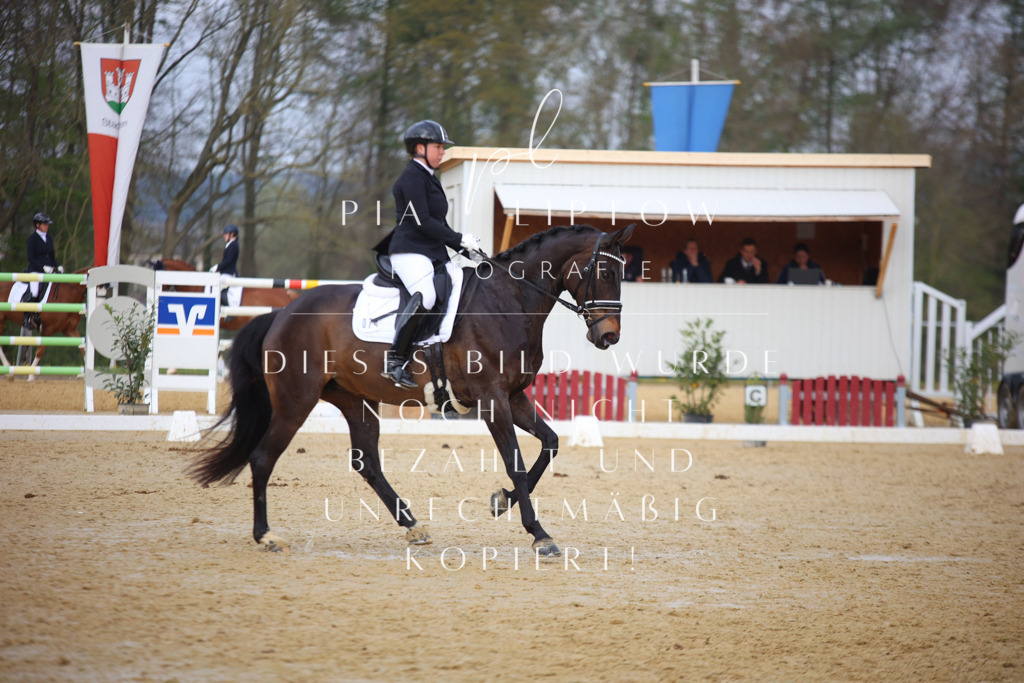 IMGT8117 | pl-fotografie