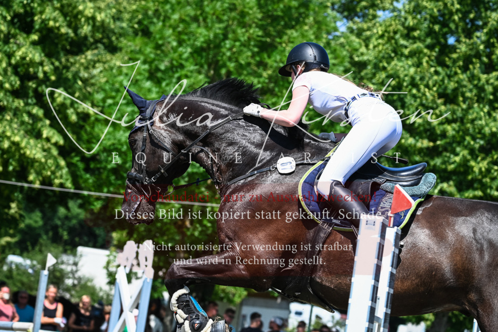 DSC_0980 | Pferde- und Turnierfotografie in Westsachsen. Pferdeportraits, Auftragszeichnungen und intuitive Kunst.