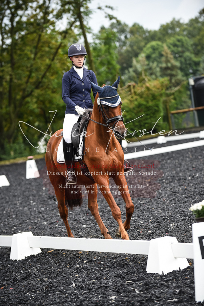 DSC_2926 | Pferde- und Turnierfotografie in Westsachsen. Pferdeportraits, Auftragszeichnungen und intuitive Kunst.